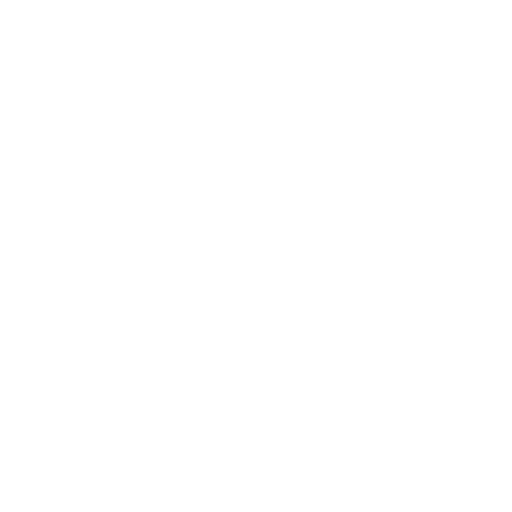 section icon