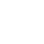section icon